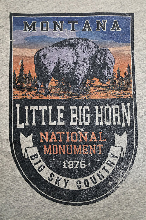 https://laststand.com/cdn/shop/files/Little-Bighorn-National-Monument-Buffalo__S_1_500x.jpg?v=1684276515