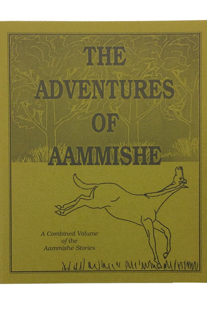 Adventures of Aaammishe