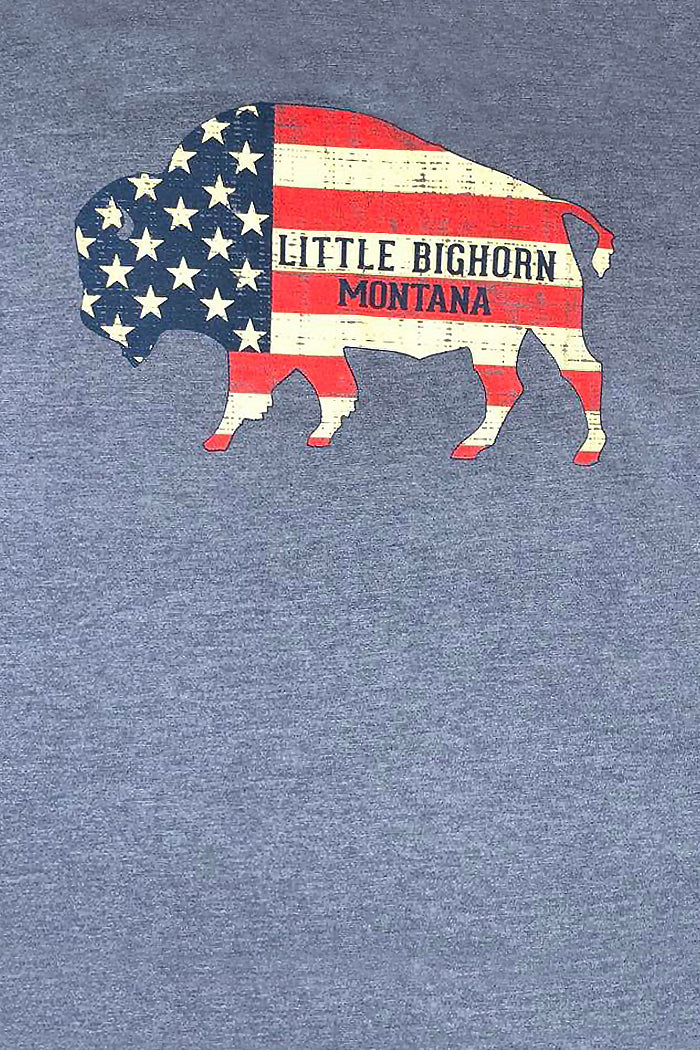 Buffalo US Flag Little Bighorn Mt
