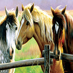 Horse Fence Puzzle