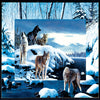Ice Wolves Puzzle