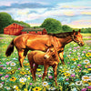 Mare & Foal Puzzle