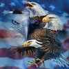 Patriotic Eagles 16 Puzzle